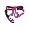 Raspberry Red Large Dog Harness with No Pull Technology and Adjustable Leash for Training