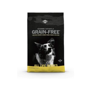 Real Cage Free Chicken and Fatty Acid Blend Dry Dog Food for Adult Dogs