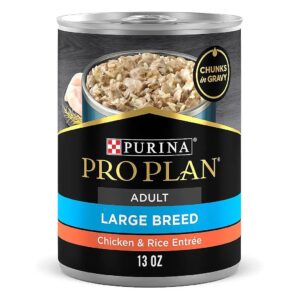 Real Chicken and Rice Adult Dog Food for Large Breeds