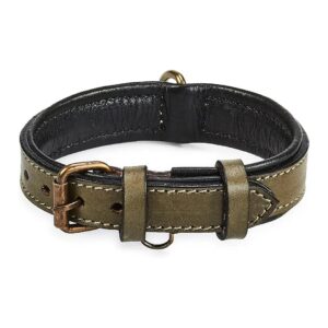 Real Leather Dog Collar for Small to Large Pets with Padded Soft Interiors