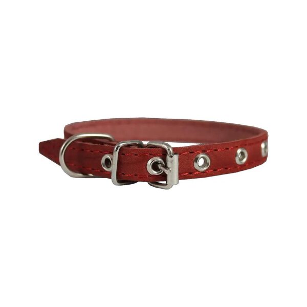 Real Leather Dog Collar in Red Color for Pet Yorkshire Terrier Puppies