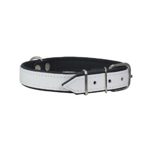 Real Leather Dog Collar with Soft Padding and Elegant Color Scheme