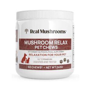 Real Mushroom Calming Chews for Dogs and Cats with Reishi and Lion's Mane Extracts