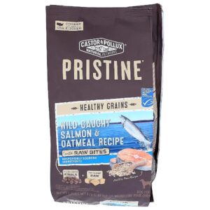 Real Salmon and Oatmeal for a Healthy and Happy Dog