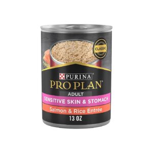 Real Salmon and Rice Wet Food for Adult Dogs with Sensitive Skin and Stomach