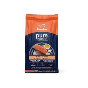 Real Salmon and Wholesome Grains Adult Dry Dog Food, 4 lbs