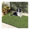 Realistic Artificial Grass Turf for Dogs Potty Training, 35'' x 59'