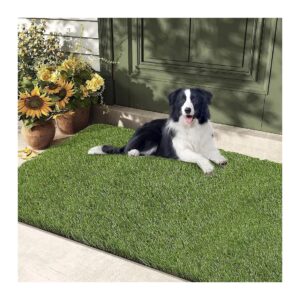 Realistic Artificial Grass Turf for Dogs Potty Training, 35'' x 59'