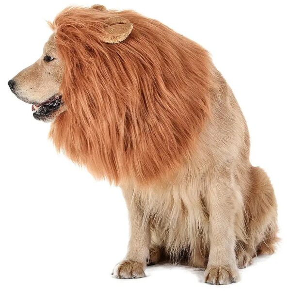 Realistic Lion Dog Mane Accessory for Medium to Large Dogs with Comfy Design