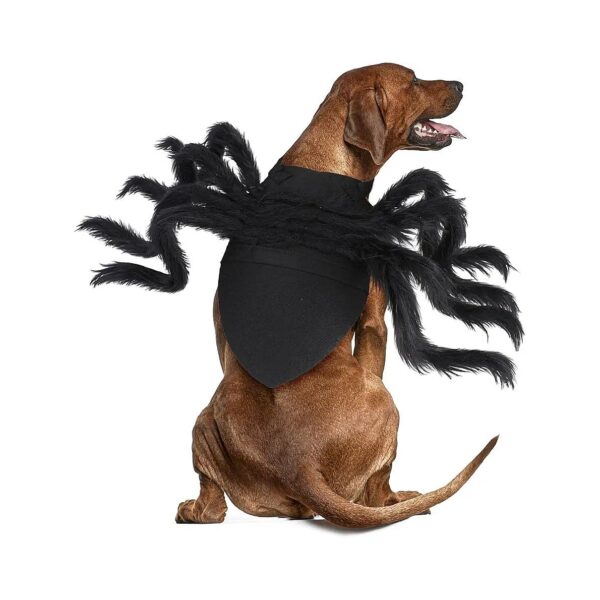 Realistic Spider Jumpsuit for Small to Medium Dogs Halloween Costume and Costume Party