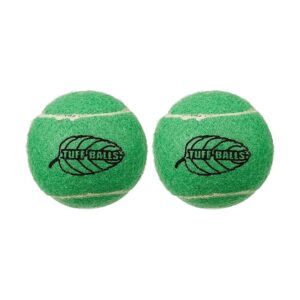 Realistic Tennis Balls for Dog Football or Chuck and Catch Play