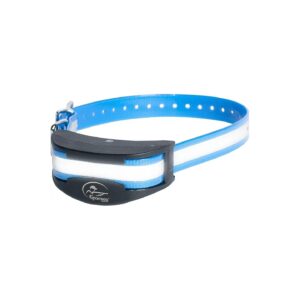 Rechargeable Dog Collar for Additional Training with Remote Transmitter