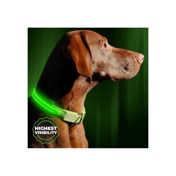 Rechargeable LED Dog Collar for Night Walking Safety