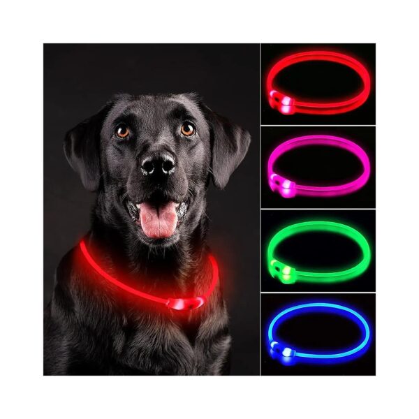 Rechargeable LED Dog Collar for Small Medium Large Dogs Red Night Safety