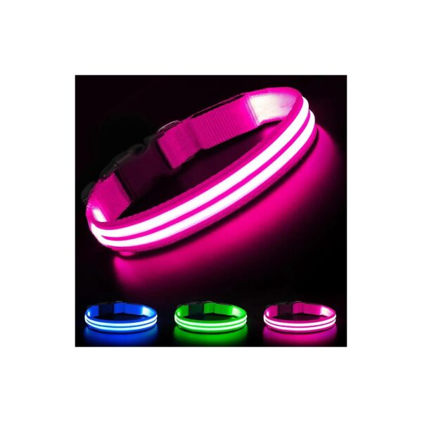 Rechargeable LED Dog Collar with Dual Fiber Optic Technology for Increased Visibility