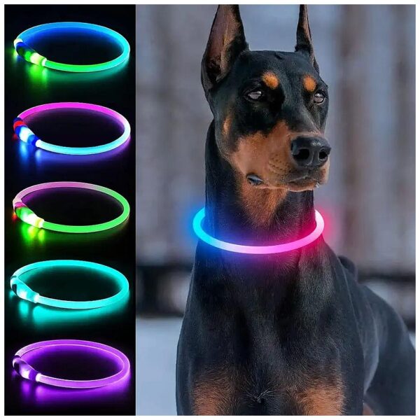 Rechargeable LED Dog Collar with Multi-Color Glow for Large Medium Small Dogs