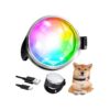 Rechargeable Waterproof Dog Collar Light for Nighttime Walking and Camping