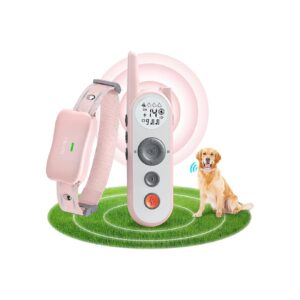 Rechargeable Wireless Dog Fence and Training Collar with IPX7 Waterproof and Keypad Lock