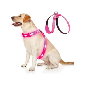 Rechargeable and Durable LED Dog Light Up Harness with Reflective Vest