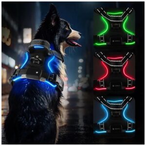 Rechargeable and Durable Lighted Dog Harness for Small Medium Large Dogs