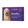 Recommended Dog DNA Testing Kit for Breed Identification and Health Insights