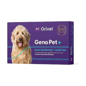 Recommended Dog DNA Testing Kit for Breed Identification and Health Insights