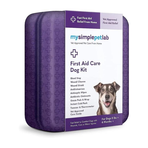 Recommended First Aid Dog Kit for Fast Relief of Wounds, Cuts, or Minor Injuries