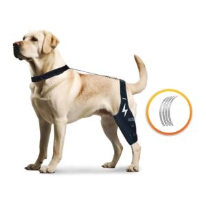 Recommended Knee Pads for Dogs with ACL and CCL Injuries, Orthopedic Comfort