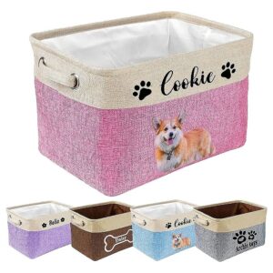 Rectangular Custom Storage Box Chest Organizer for Dog Toys and Belongings