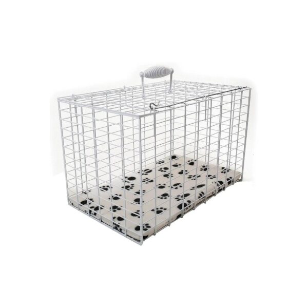 Rectangular Pet Carrier for Small Animals with White Coated Wire Frame