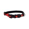 Red Adjustable Dog Collar with Soft Padded Interior and Colorful Design