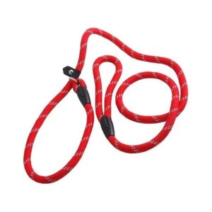 Red Adjustable Nylon Dog Leash with Leather Slide Correction and Loop