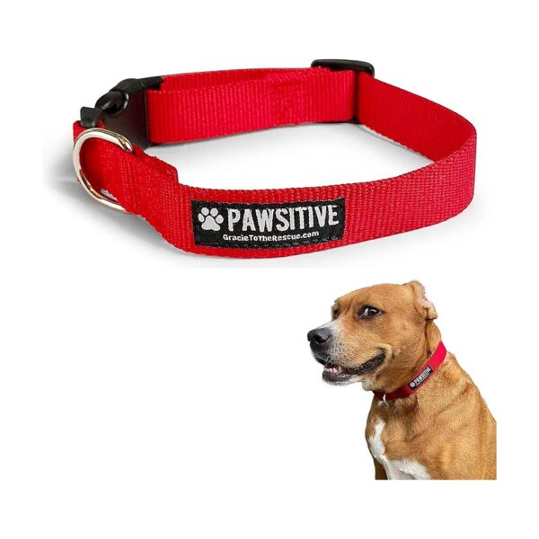 Red Bamboo Dog Collar for Small Medium Large Dogs with Soft Hypoallergenic Properties