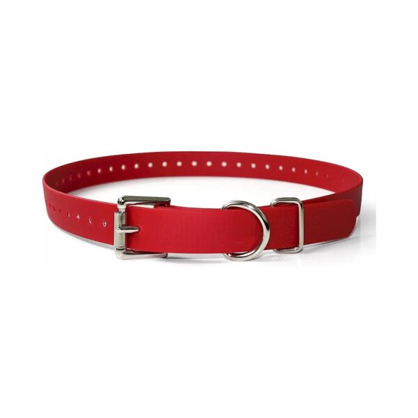 Red Biothane Dog Collar with Steel Buckle and D Ring for Outdoor and Active Dogs