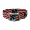 Red Blue and White Stars and Stripes Waterproof Dog Collar for Outdoors