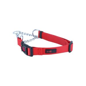 Red Chrome Plated Martingale Toy Breed Adjustable Dog Collar with Quick Release