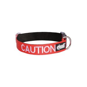 Red Color Coded Buckle Dog Collar Warnings Others of Your Dog in Public