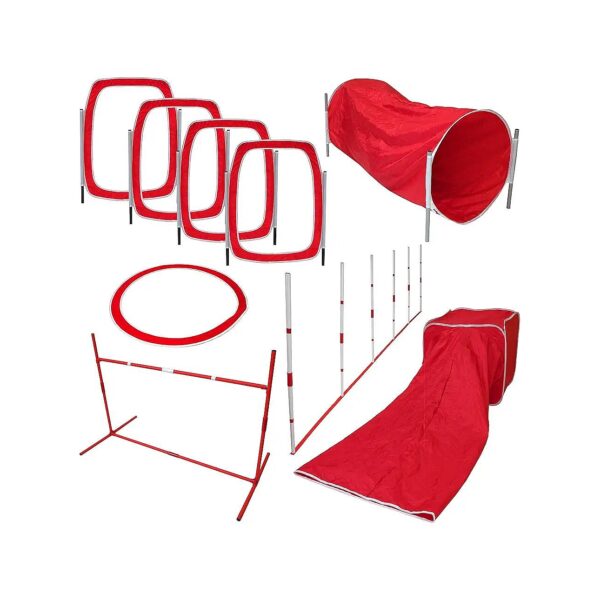 Red Dog Agility Training Kit for Small Spaces with Folding and Storage Options