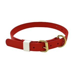 Red Dog Collar for Adolescents with High Quality Buckles and PVC Coated Webbing