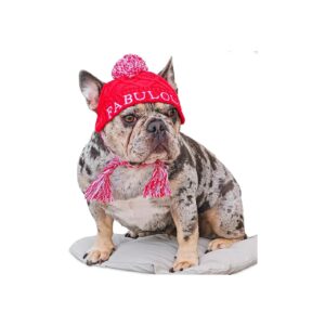 Red Dog Ear Beanie Hat for Small Dogs with Machine-Washable Fabric