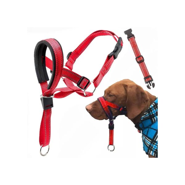 Red Dog Head Halter with Safety Strap for Medium and Large Dog Sizes