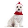 Red Knitted Horsehair Pompon Hat for Small Dogs and Cats