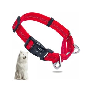 Red Martingale Collar for Large Dogs with Strong Construction and Comfortable Fit