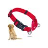 Red Martingale Collar for Large and Extra Large Breed Dogs with Adjustable Buckle