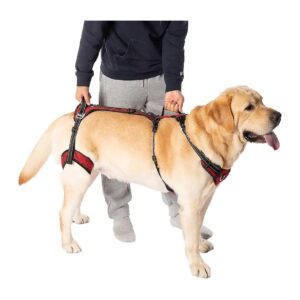 Red Medium Dog Lift Harness for Senior Dogs with Arthritis COODEO