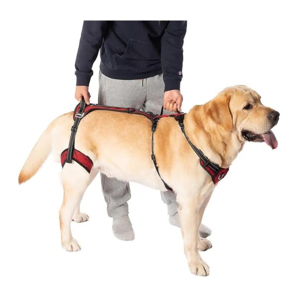 Red Medium Dog Lift Harness for Senior Dogs with Arthritis COODEO