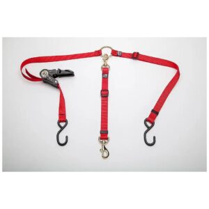 Red Nylon Pet Truck Bed Tether with Ratchet Tightening Hardware and Durable Metal