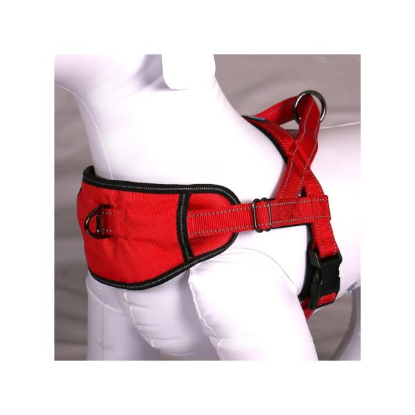 Red Reflective Dog Harness with Adjustable Chest and Girth for Small Pooches