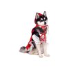 Red Riding Hood Dog Costume with Ruffled Lace Trim and Cape Large