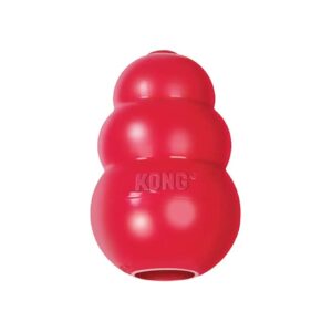 Red Rubber Dog Toy XL with Treat Dispensing Fun